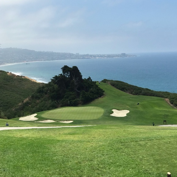 Meet your Posher, Daniel - Picture 1 of 1